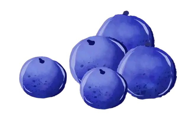 Fruta BlueBerry